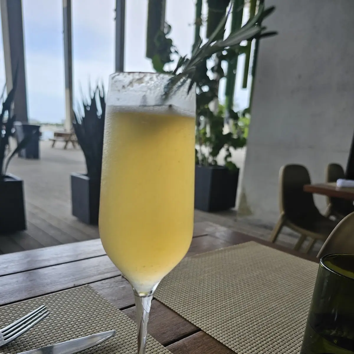 Bottomless Mimosa
