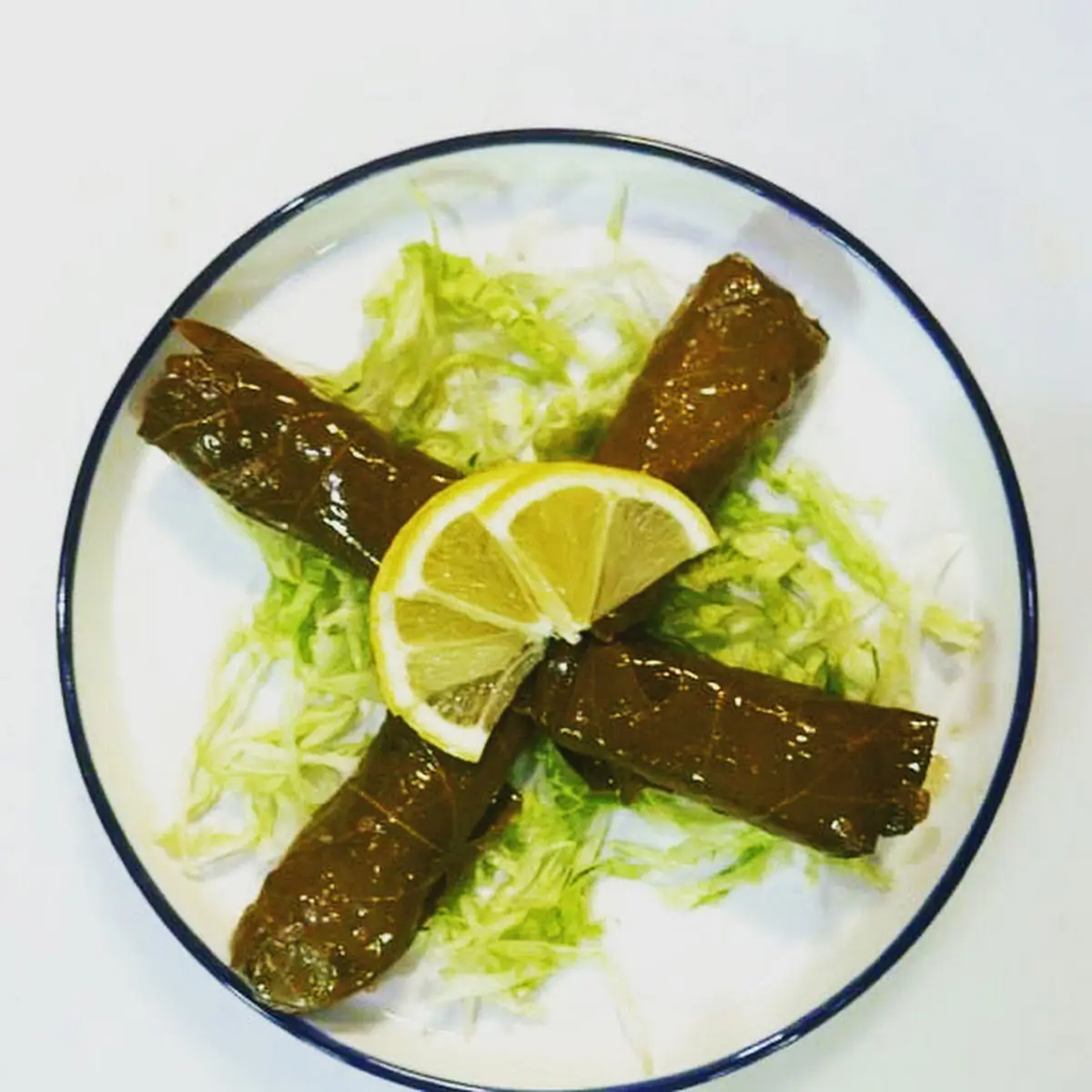 Stuffed Grape Leaves