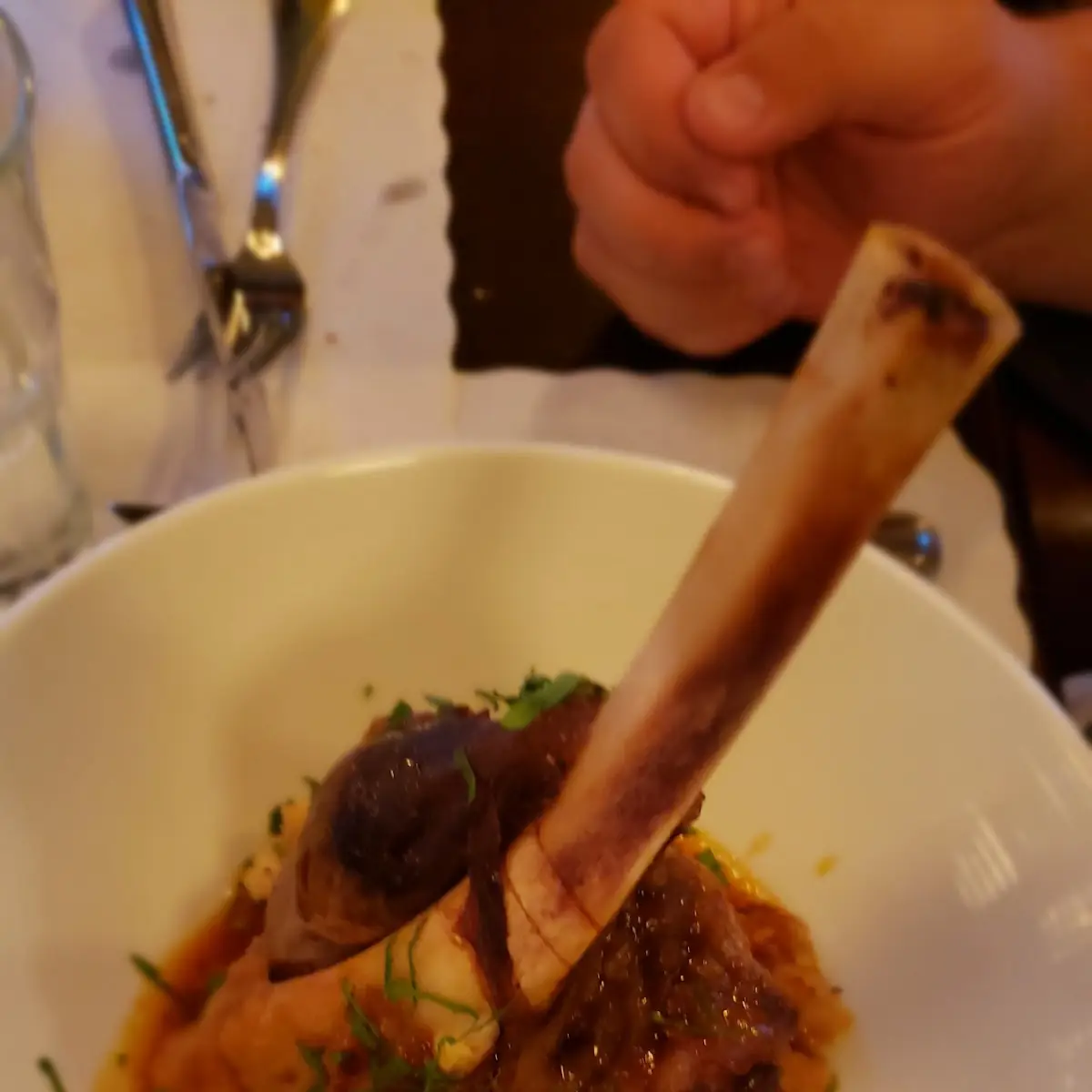 Lamb Shank