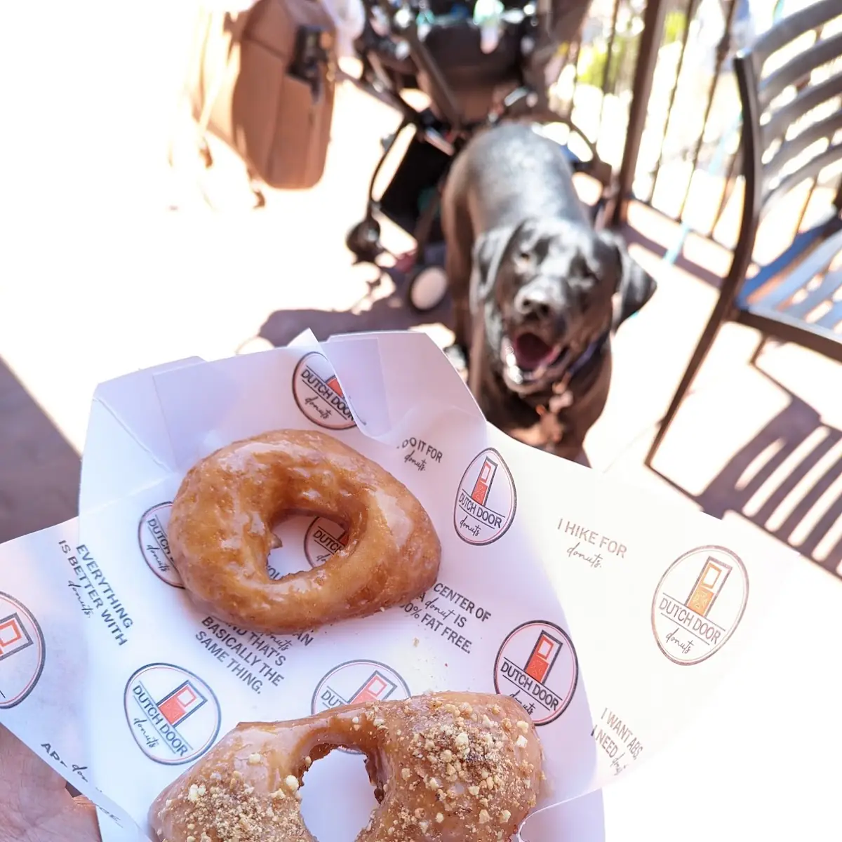 Doughnut