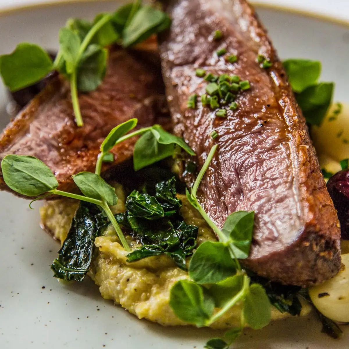 Duck Breast