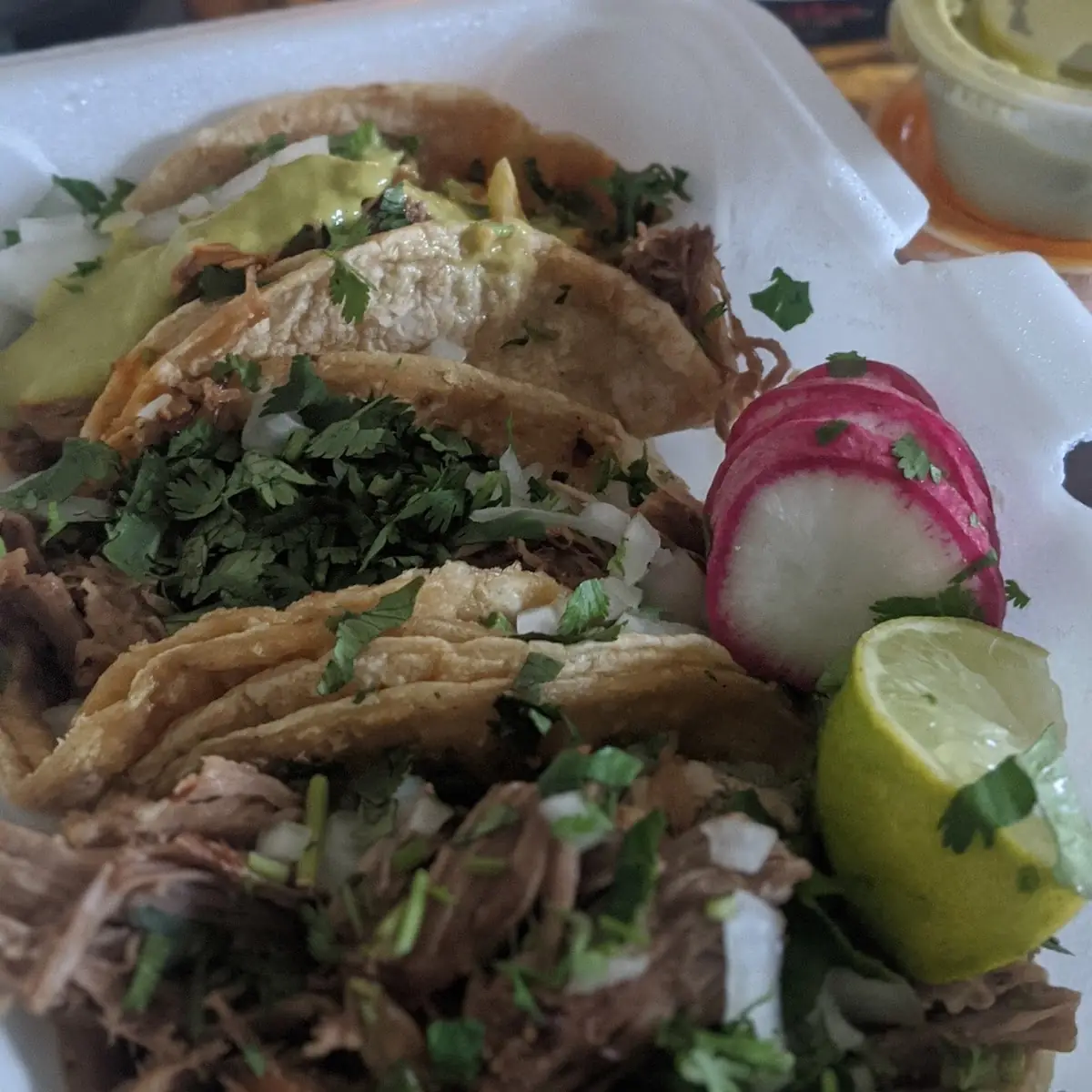Carnitas Taco