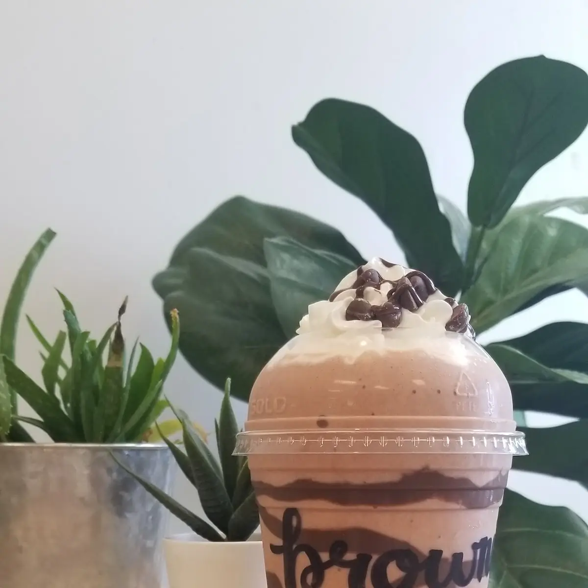 Brownie Batter Shake