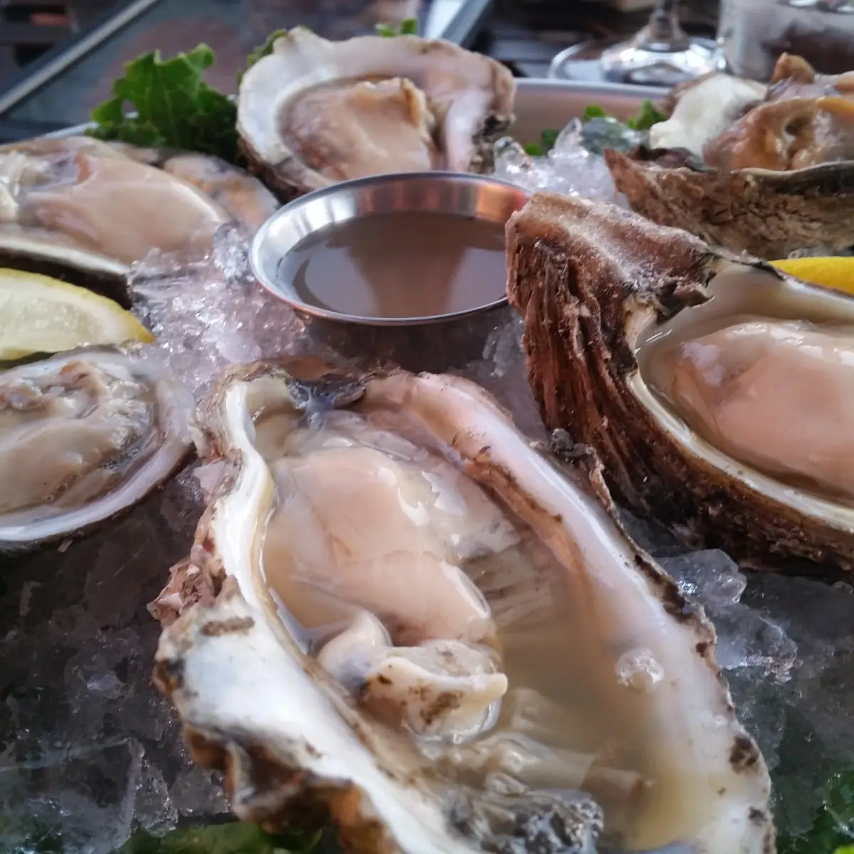 Oysters on the Half Shell