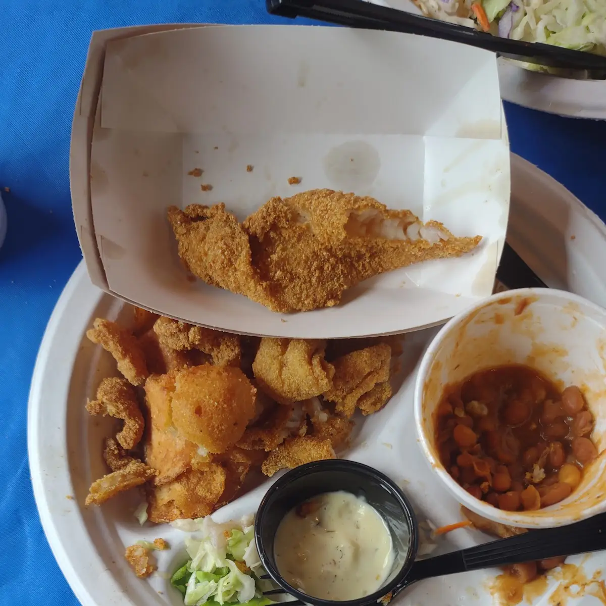 Catfish Nuggets