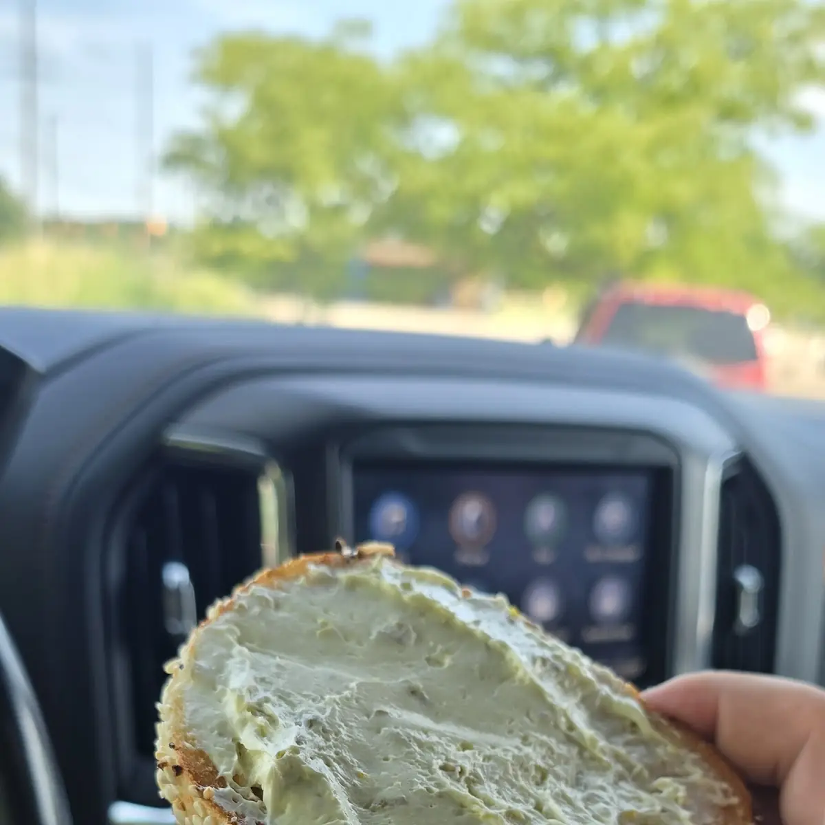 Everything Bagel with Creamcheese