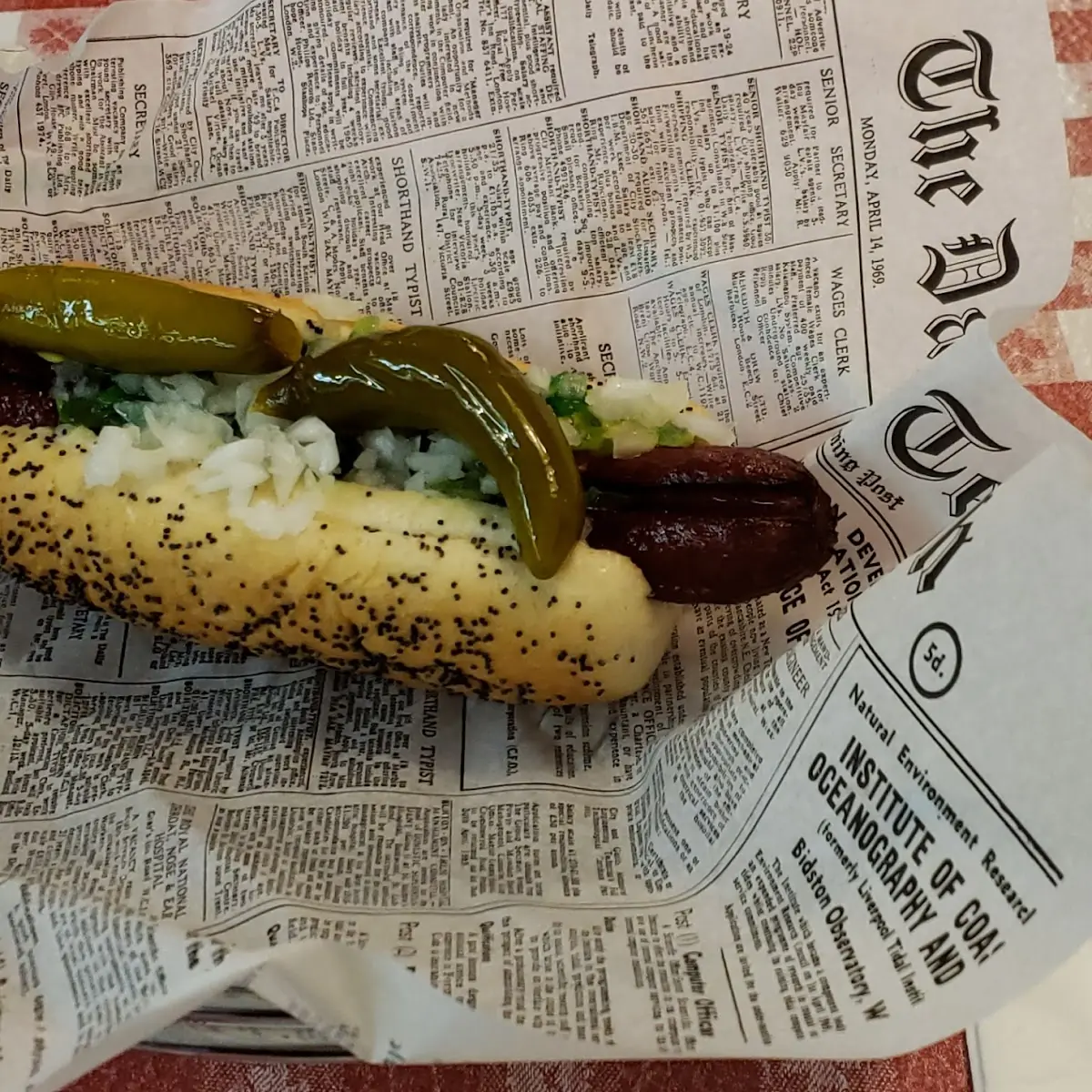 Hot Dog