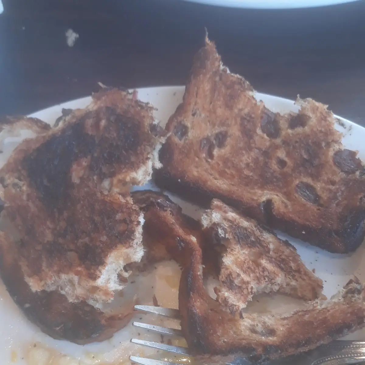 Burnt Raisin Toast