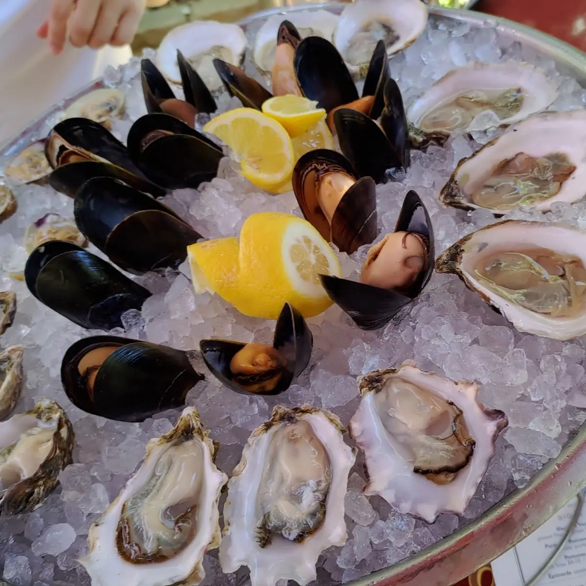Oysters on the Half Shell