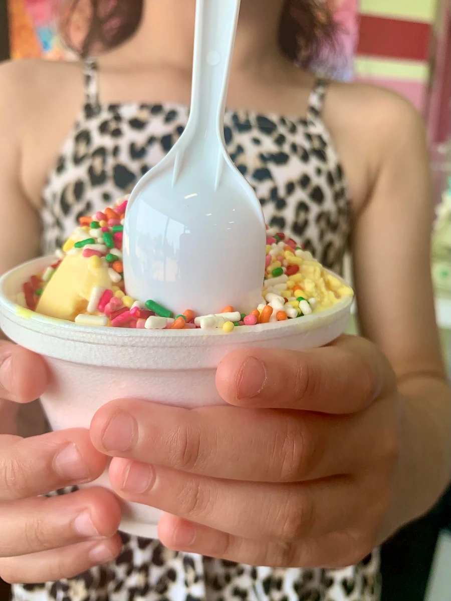 Vanilla Ice Cream