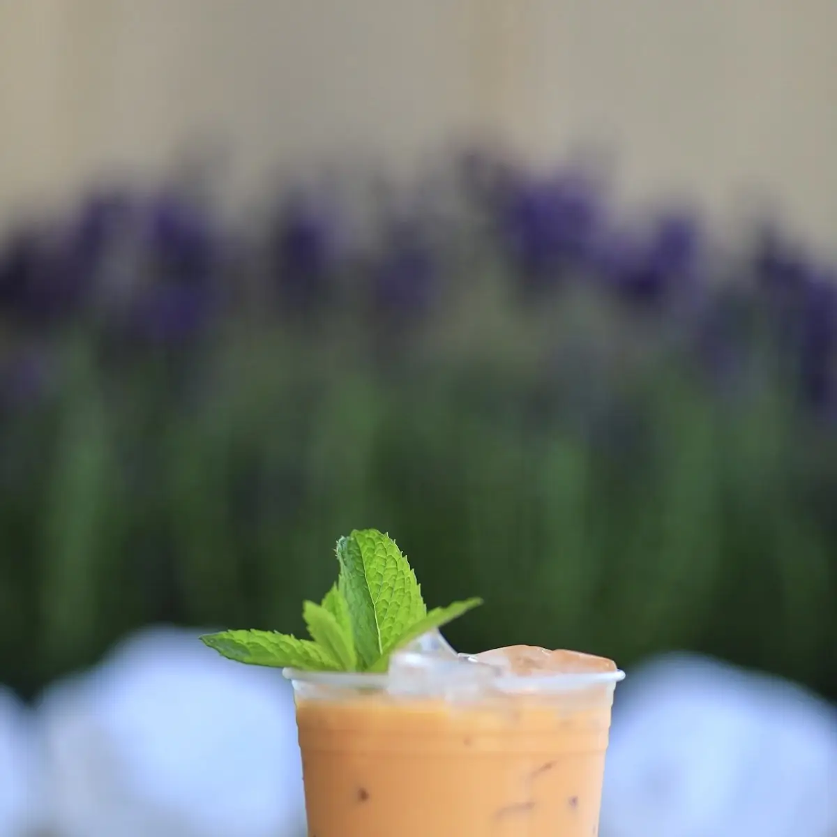Thai Tea