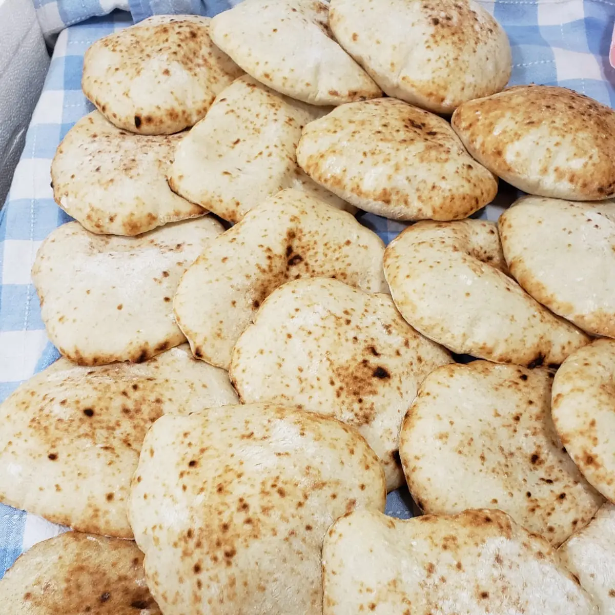 Falafel in Home Made Pitta Bread