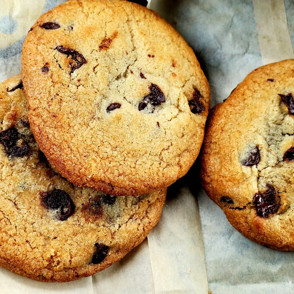 Chocolate Chip Cookie