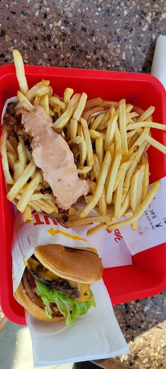 French Fries with Sauce and Onions