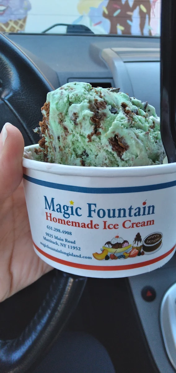 Thin Mint and Rainbow Cookie