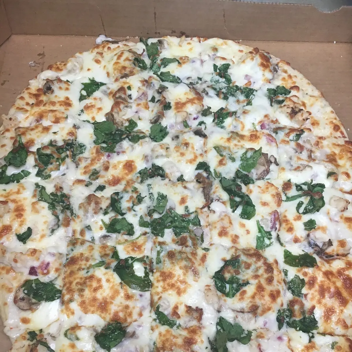 Spinach Pizza