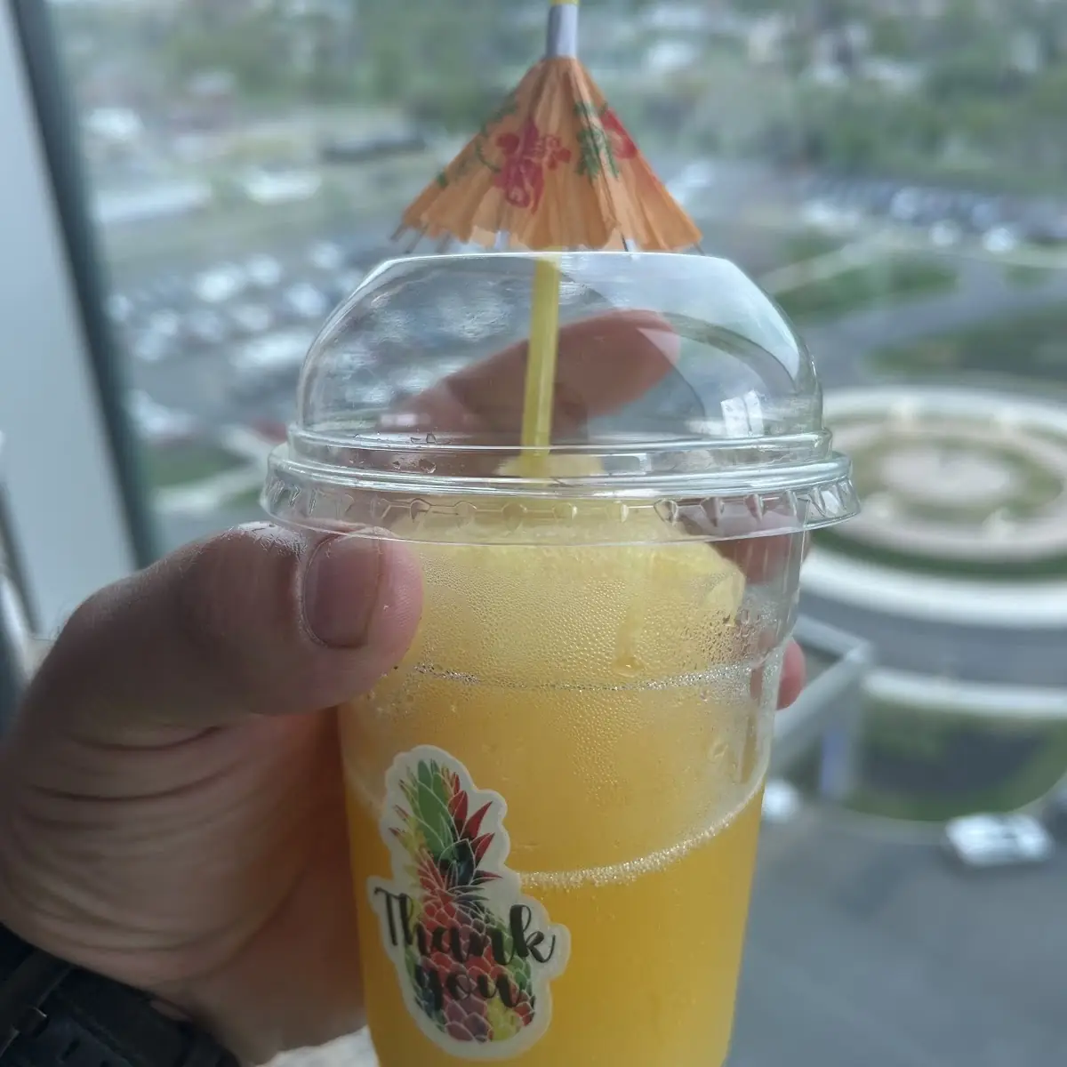 Passion Fruit Slushy