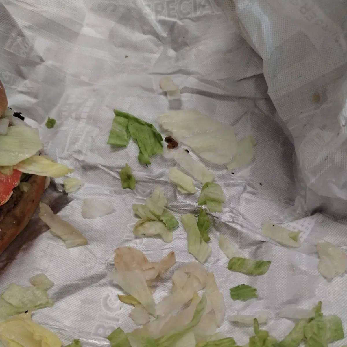 Hamburger Patty