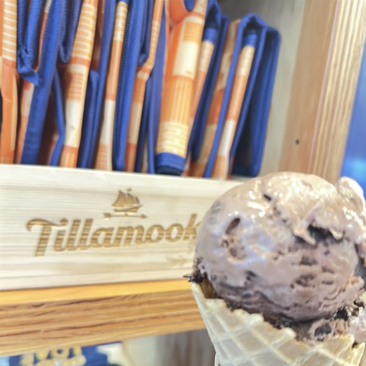 Mudslide Ice Cream in Waffle Cone