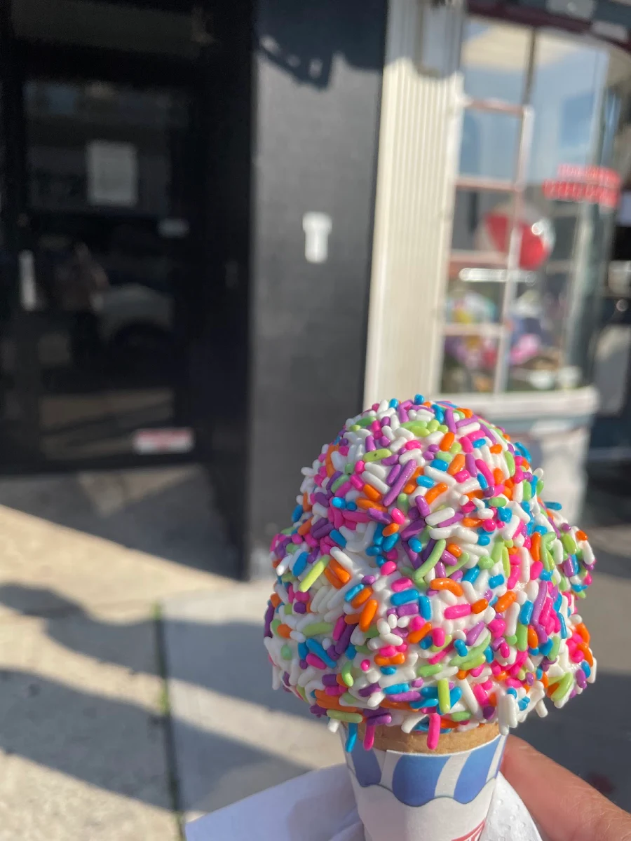 Vanilla Ice Cream with Rainbow Sprinkles