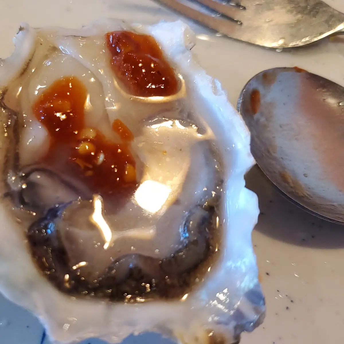Raw Oysters