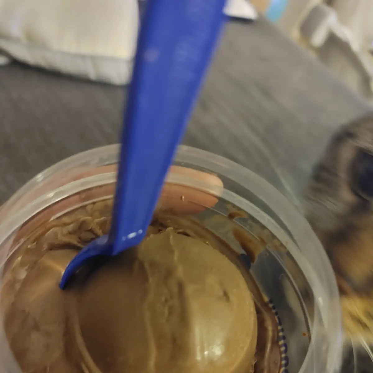 Dark Chocolate Custard