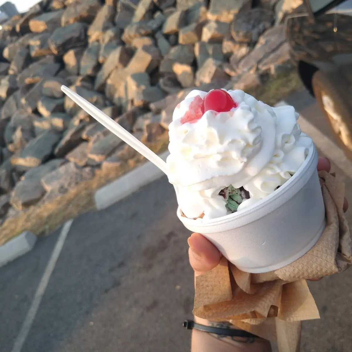 Mint Chocolate Chips