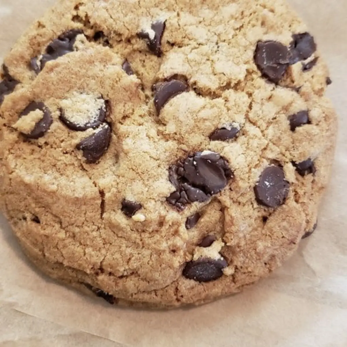 Chocolate Chip Cookie