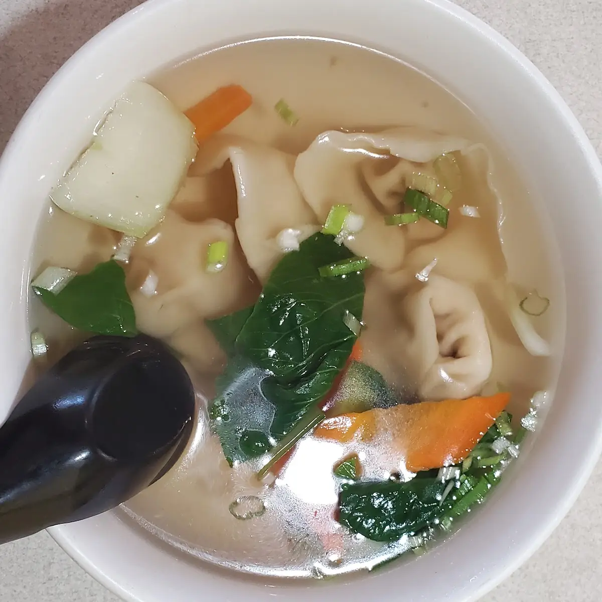 Wonton Soup