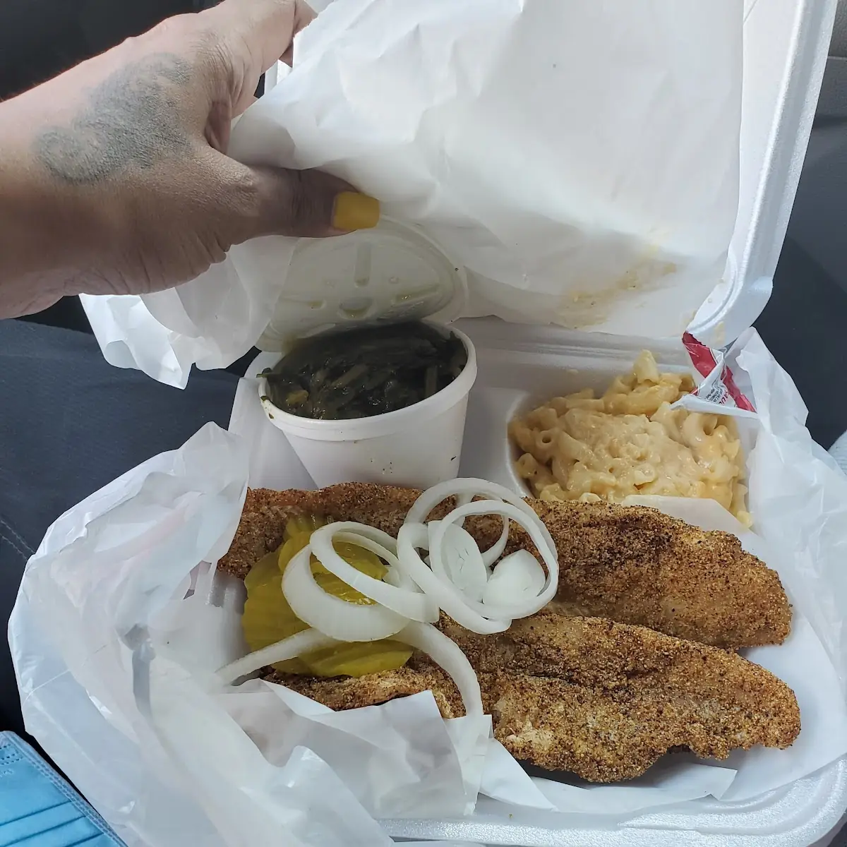 Catfish Family Pack