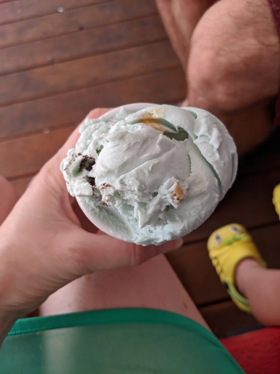 Cookie Monster Ice Cream