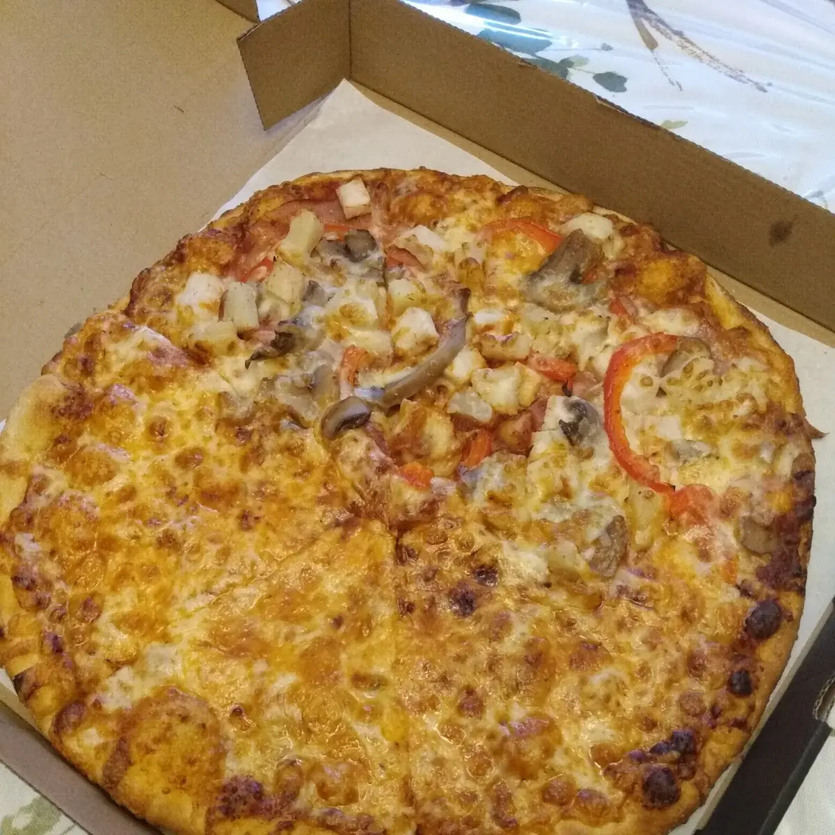 Half Is Cheese Pizza Half Is Hawaiian Pizza
