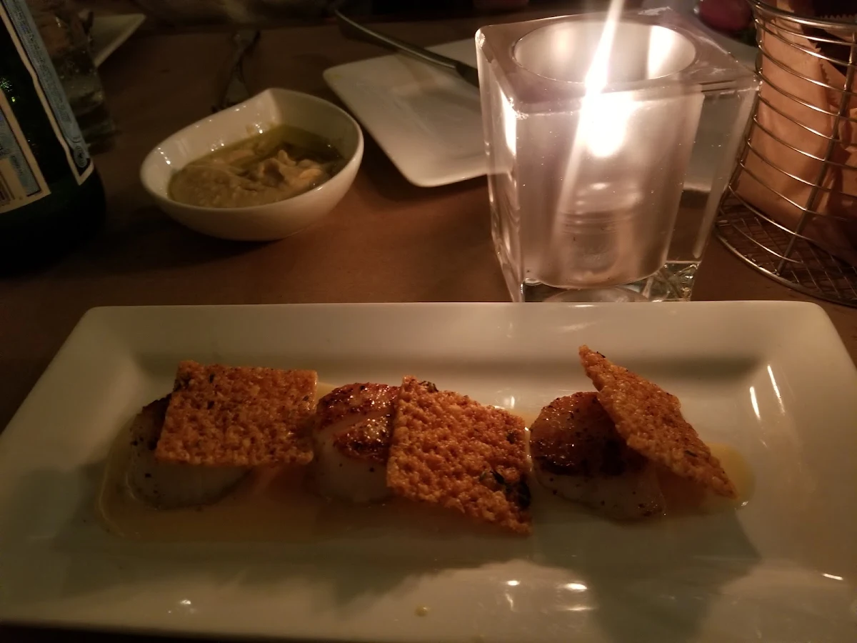 Pan Seared Scallops