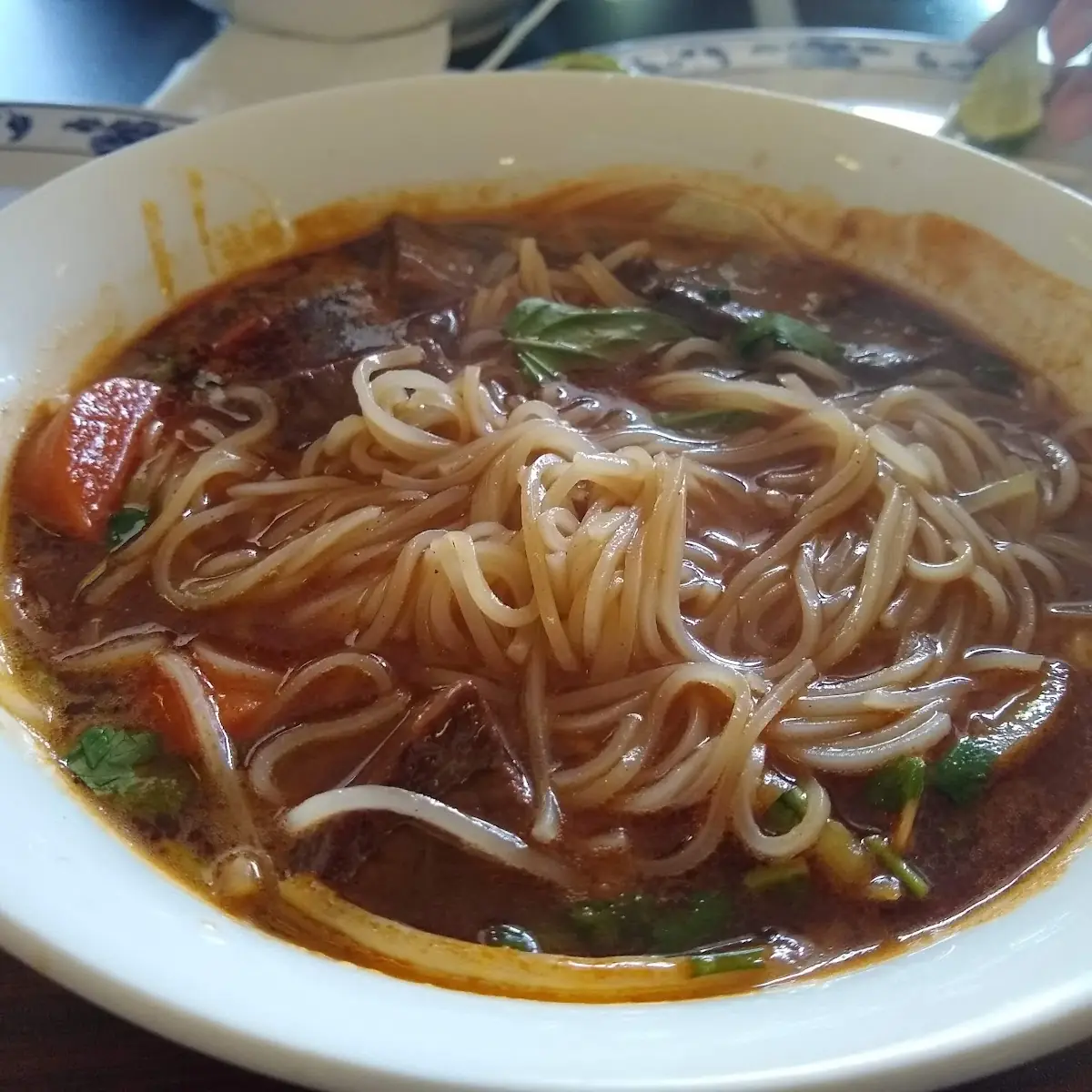 Beef Stew Noodle Soup