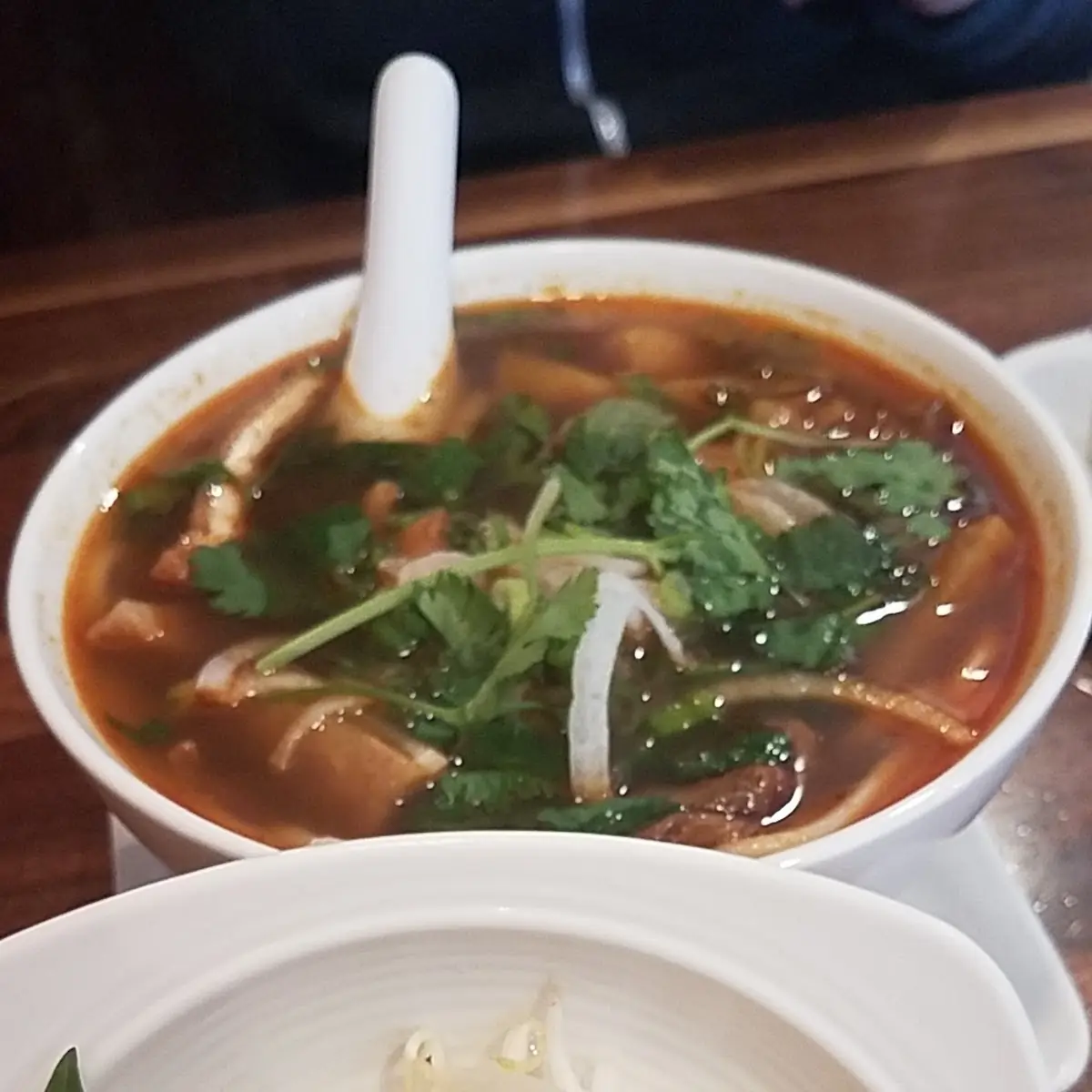 Spicy Noodle Soup