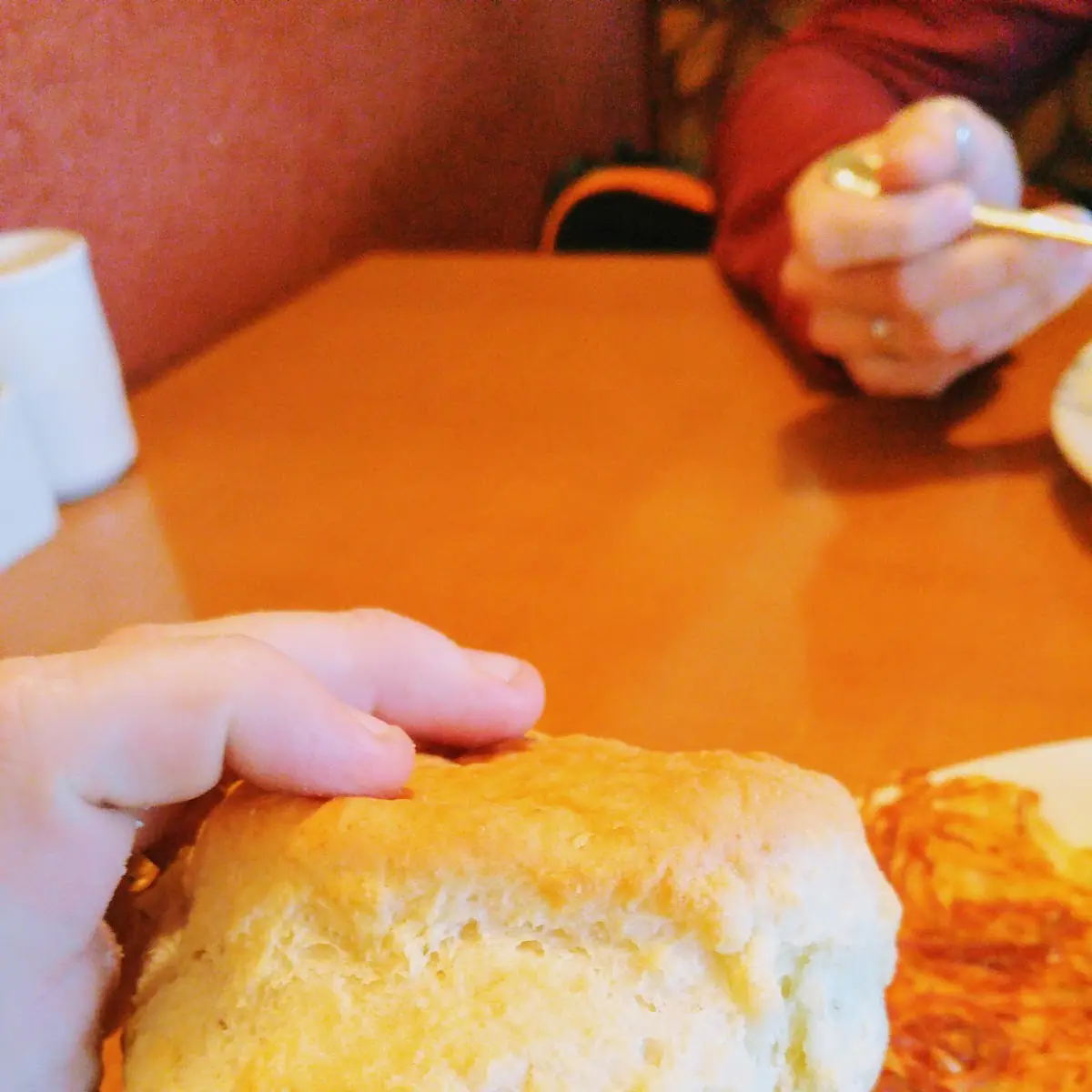 Big Hot Biscuit