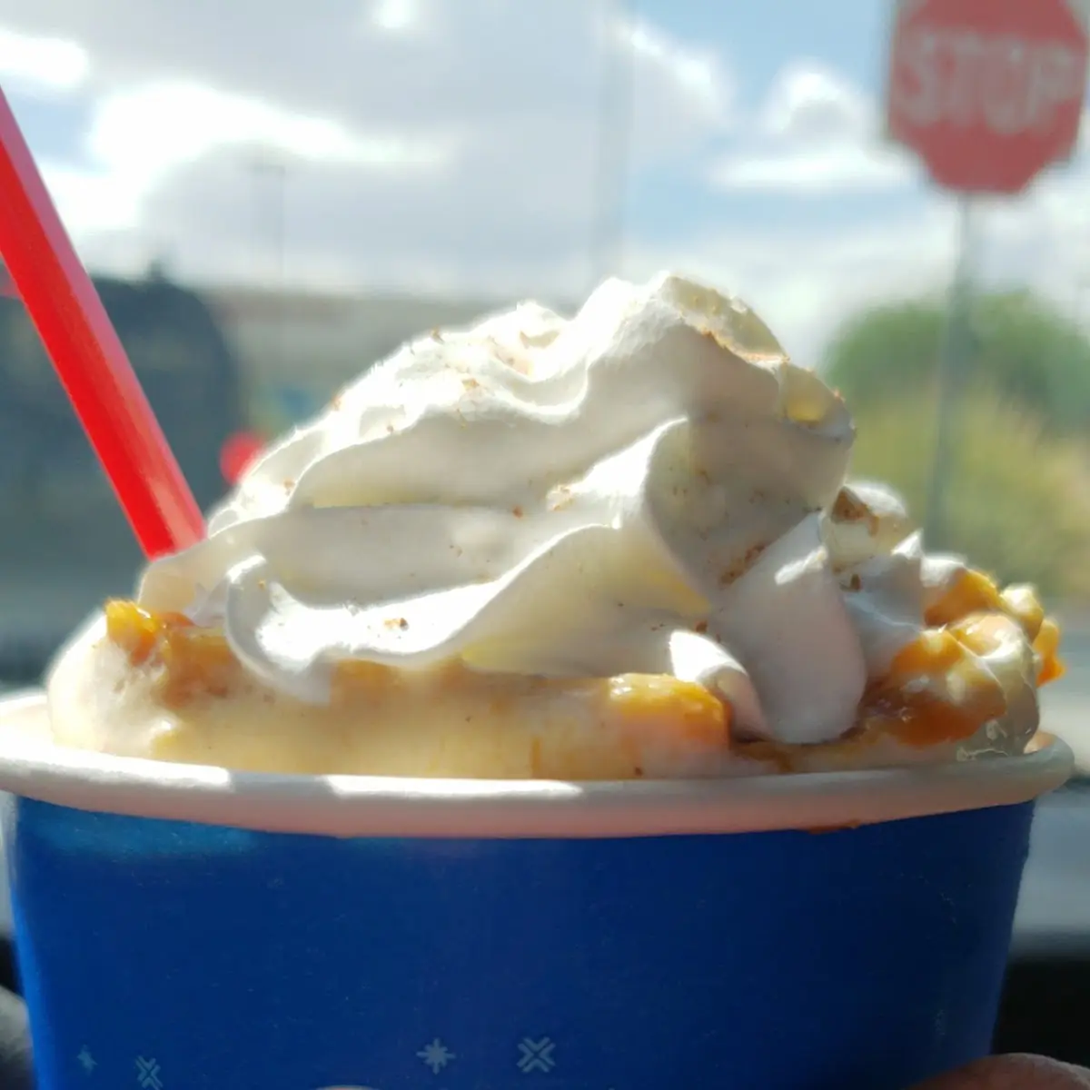 Pumpkin Pie Blizzard