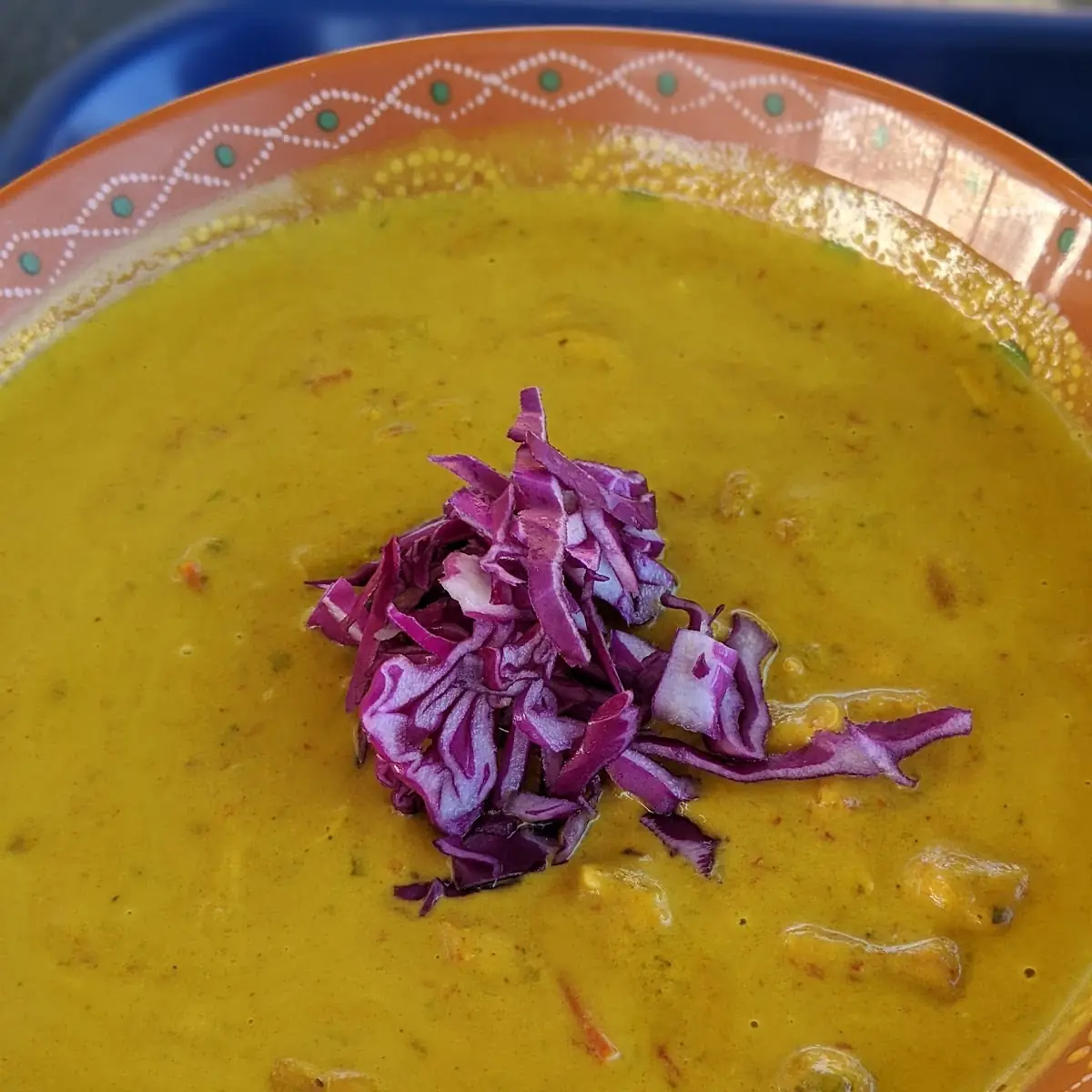 Vietnamese Chicken Curry