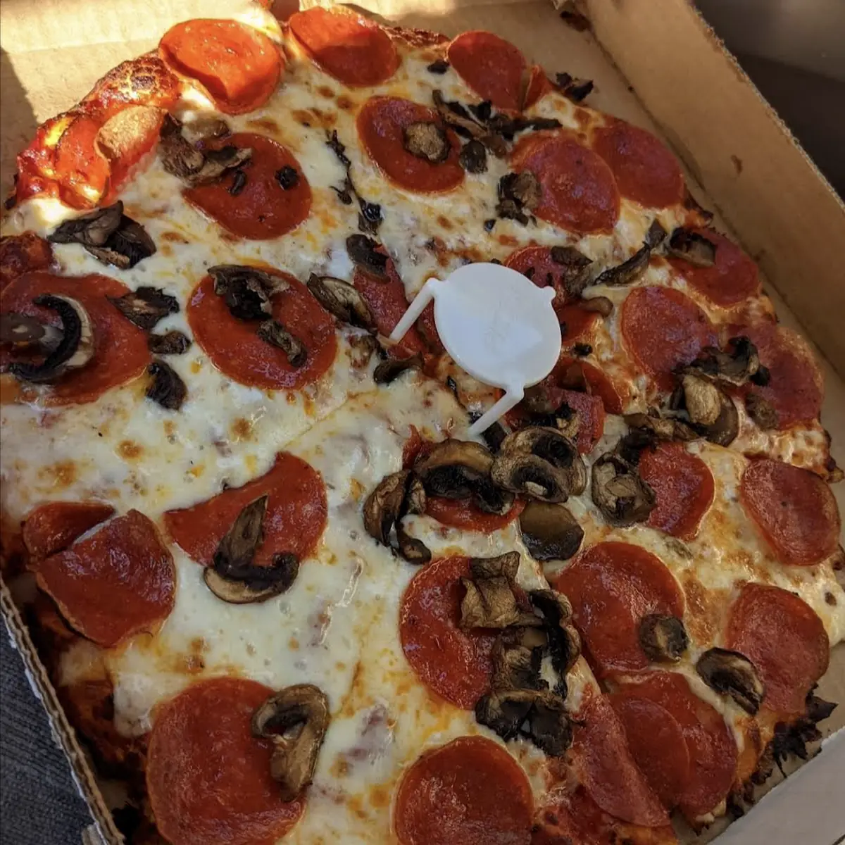 Pepperoni Mushroom Pizza