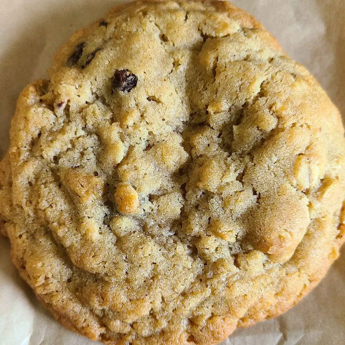 Oatmeal Raisin Cookie