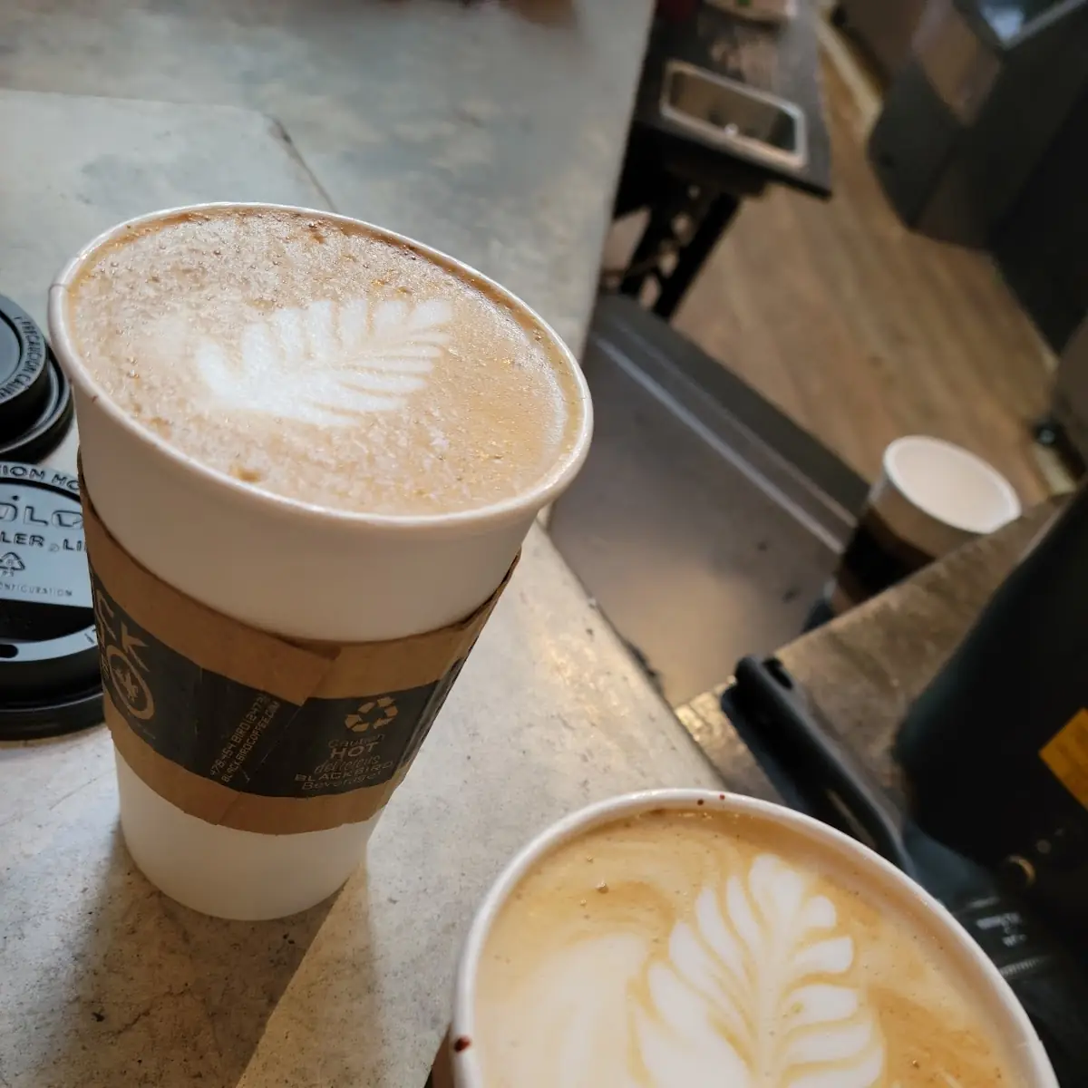 Latte
