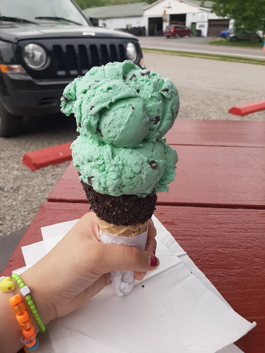 Mint Chocolate Chip
