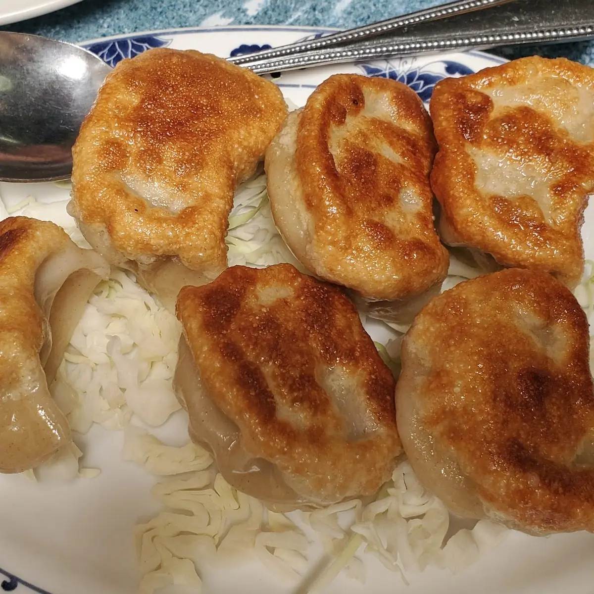 Special Pan Fried Dumplings