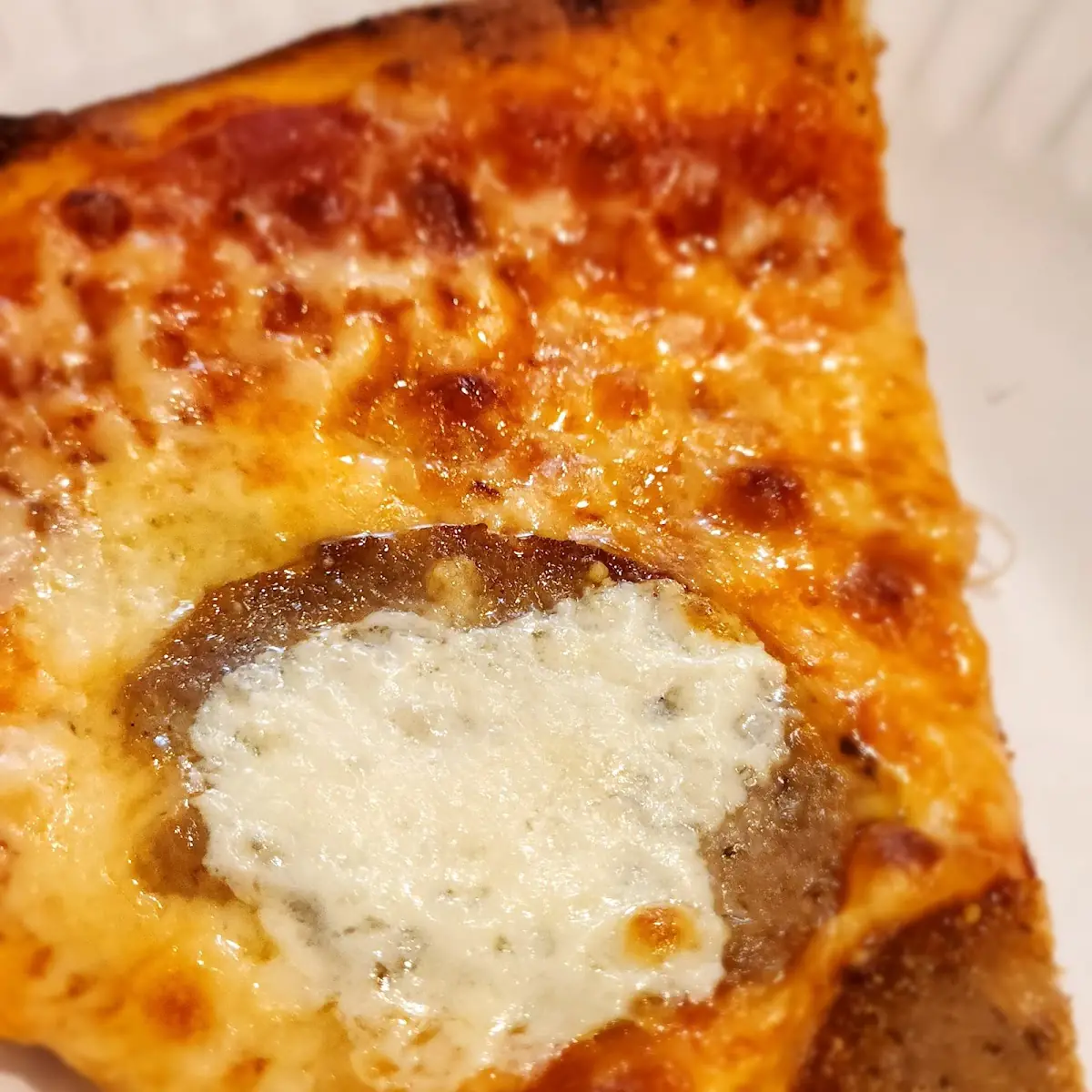 Plain Cheese Pizza Margherita