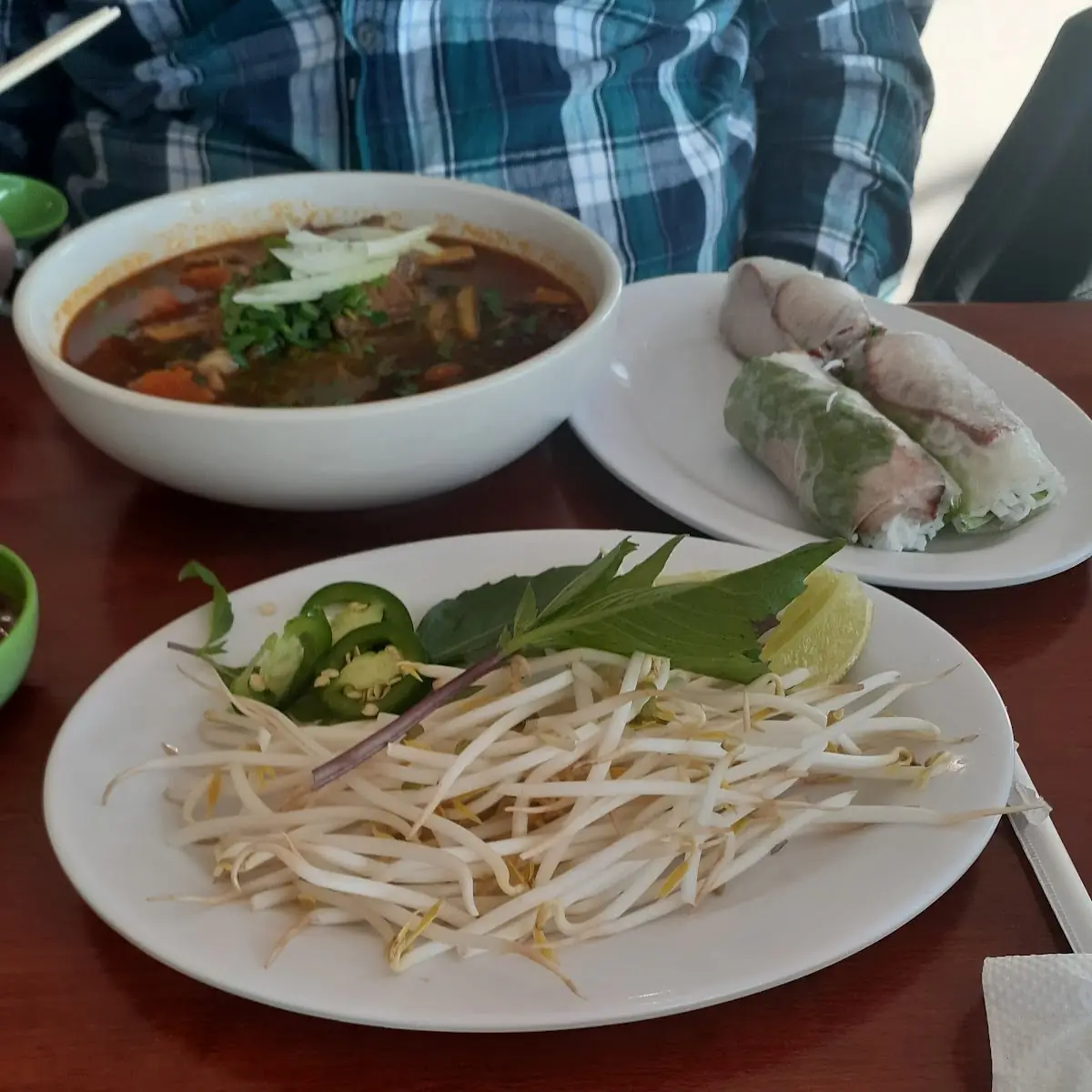 Vietnamese Beef Stew with Spring Rolls