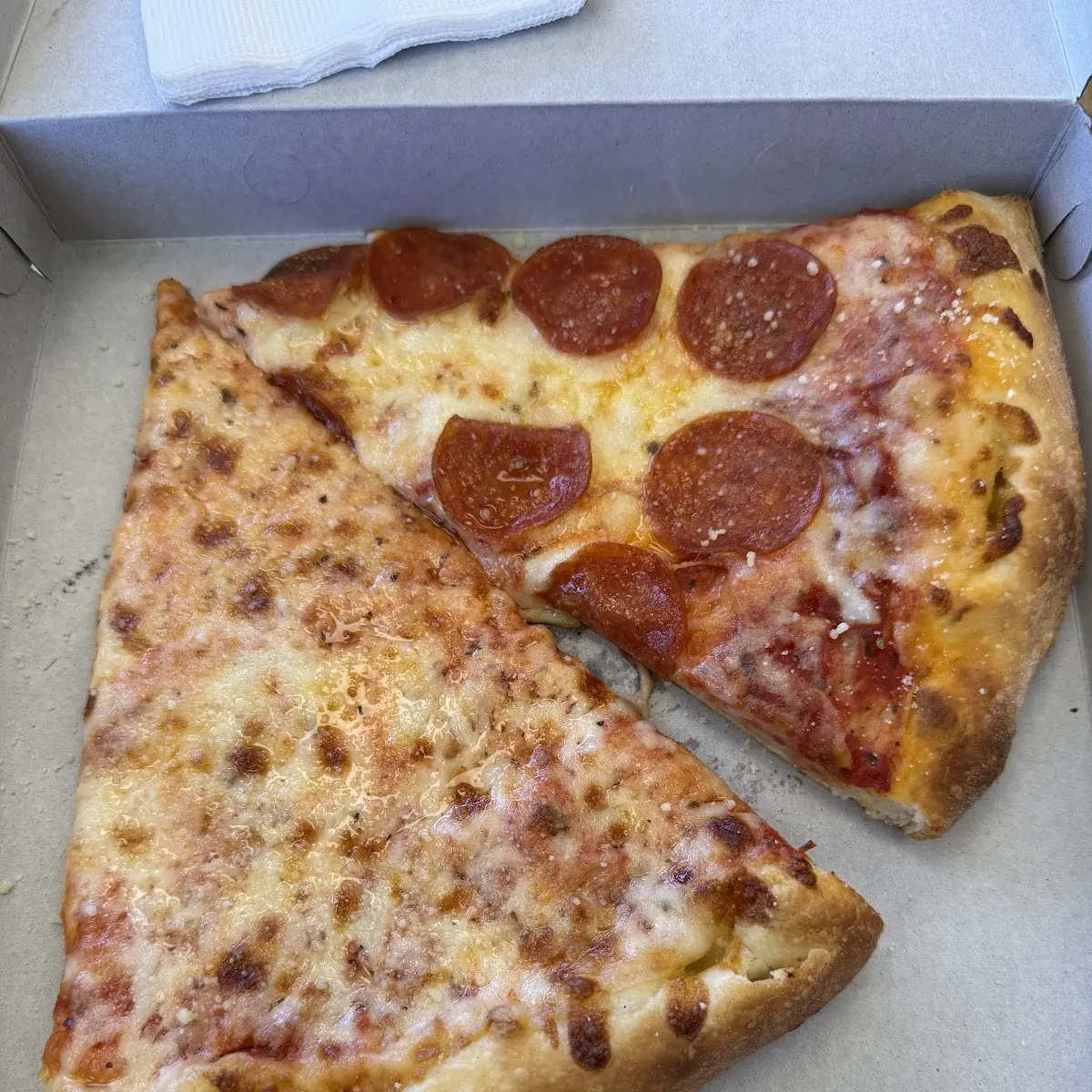 Cheese and Pepperoni Pizza