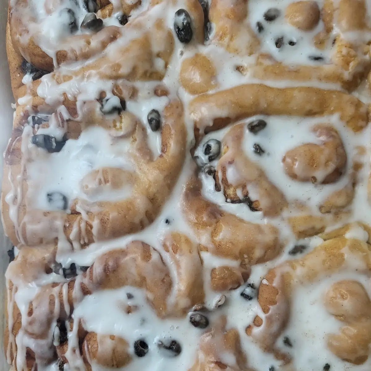 Cinnamon Rolls w Raisens