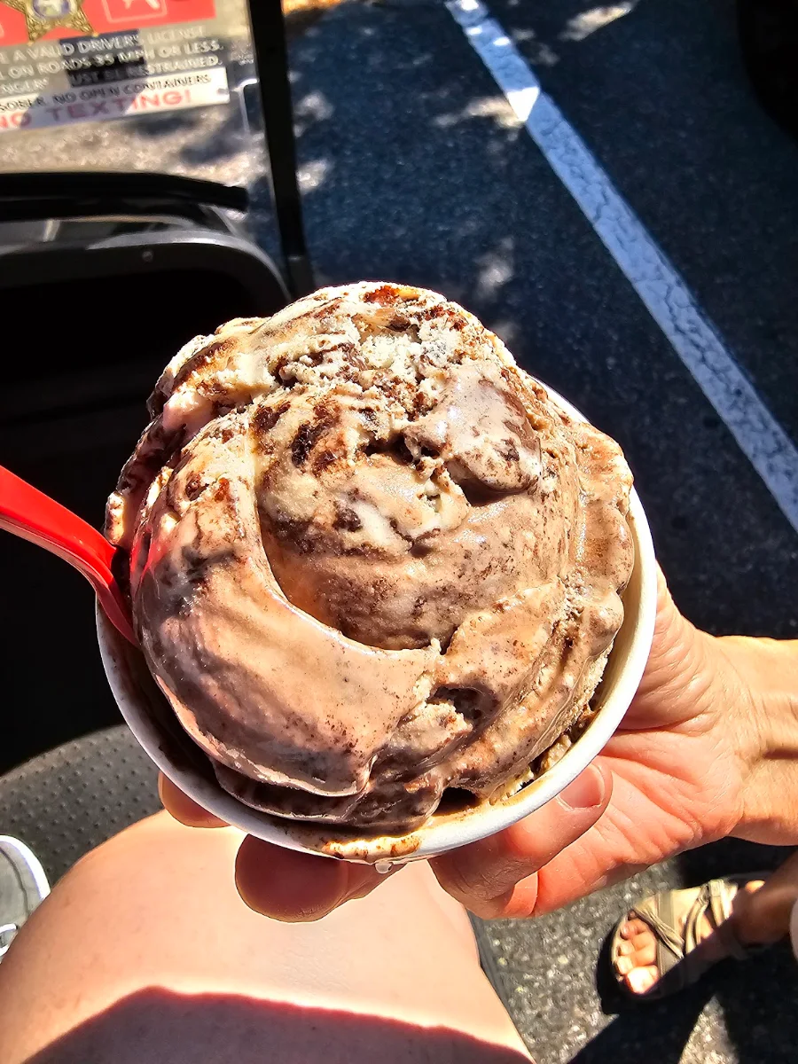 Turtle Sundae