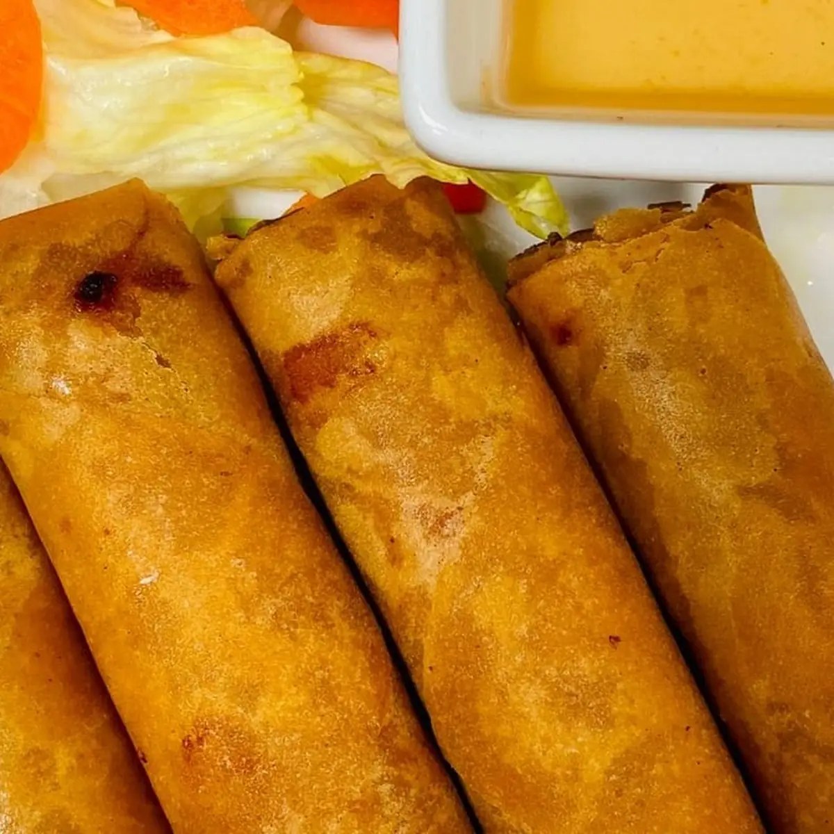 Crispy Vegetable Spring Roll