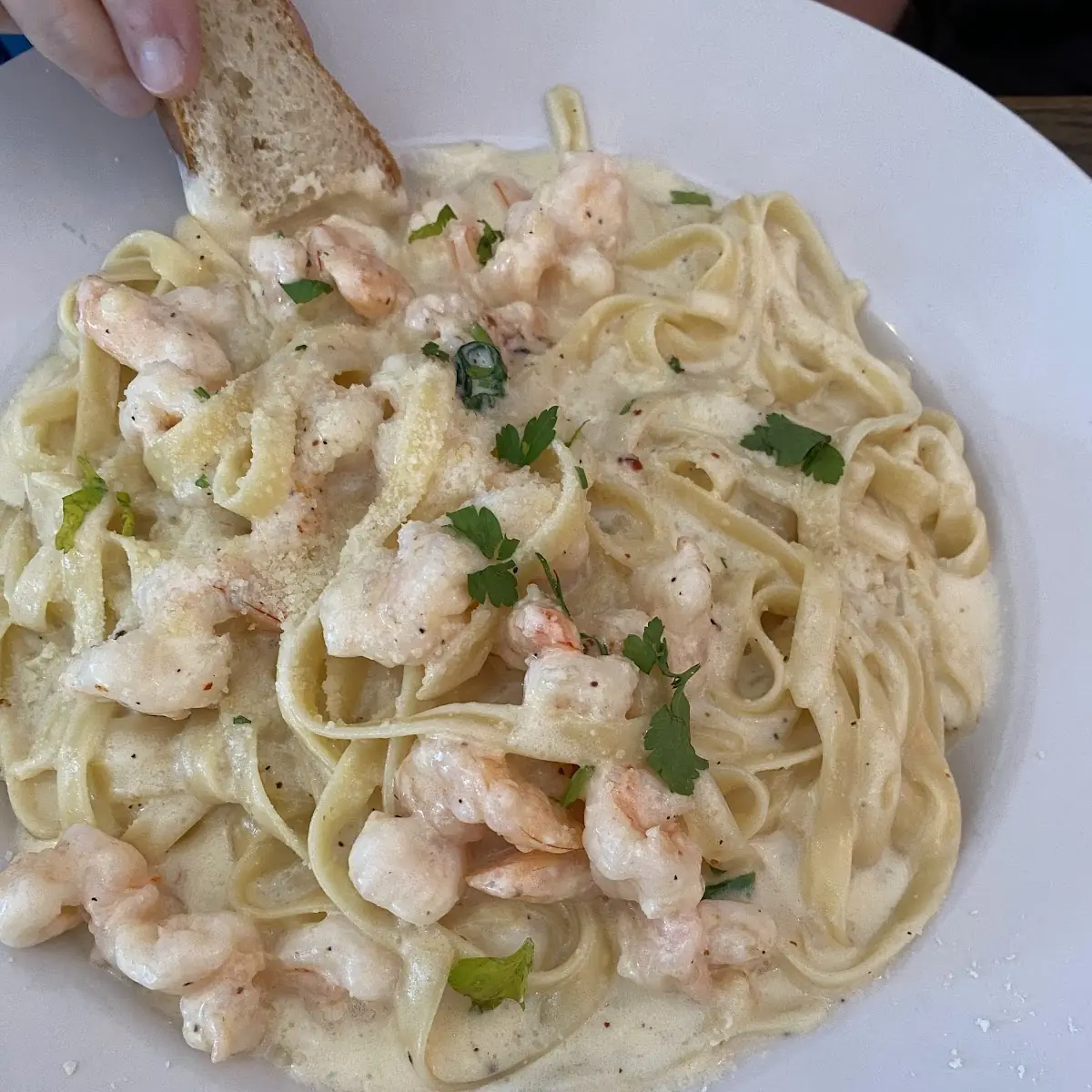 Shrimp Alfredo